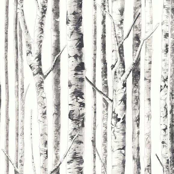 Обои Mayflower FJ100114 Birch