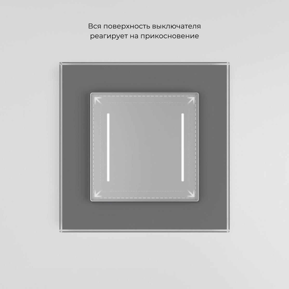 Умный сенсорный выключатель двухклавишный Werkel 4690389197956 W4523006 a064144