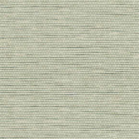 Обои Arte 60507A Le Papier Tissé Pistache