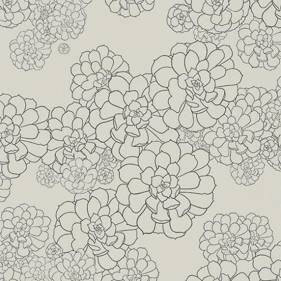 Обои Paint & Paper Library 0393AECOTTO Aeonium Cotton