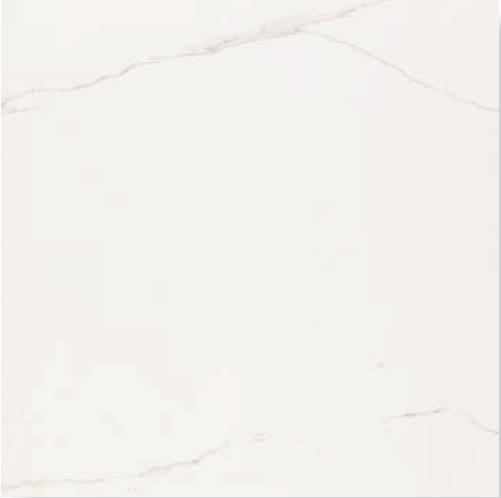 ARTIC NATURE 80X80