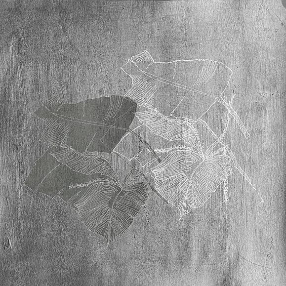 Панно Wall & Deco WET_BI1902 Biophilia