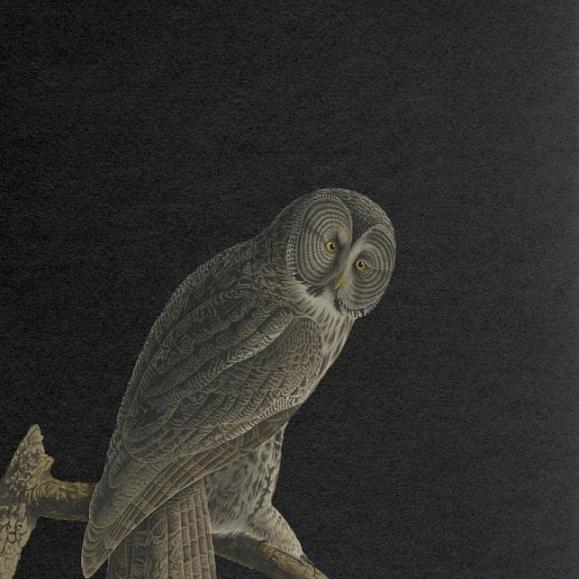 Панно Hygge Wall H10191 Night Watch