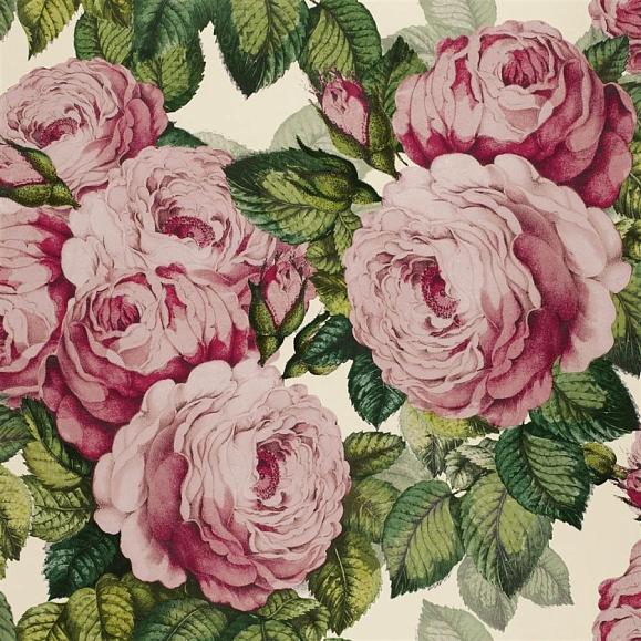 Обои John Derian PJD6002/02 The Rose Tuberose