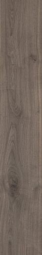 SANT'AGOSTINO PRIMEWOOD Brown