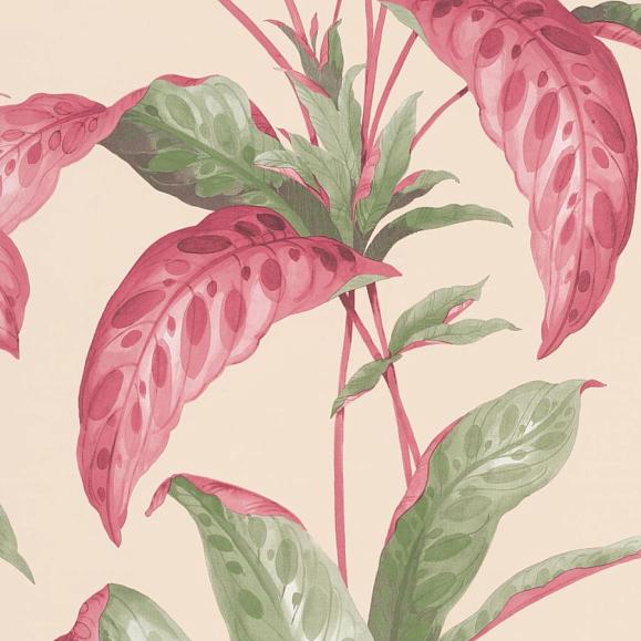 Обои Paint & Paper Library 0360TRRHUBA Tropicane Rhubarb