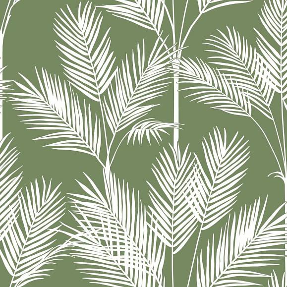 Обои York CV4411 King Palm Silhouette Fern