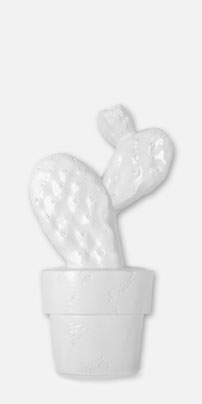 Cactus-C Blanco Brillo 30х60