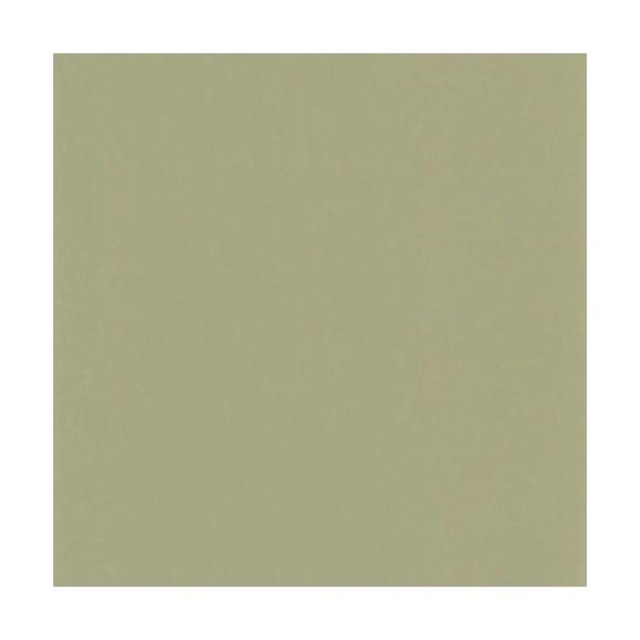 Обои Casadeco 200337337 Pigment Argile verte