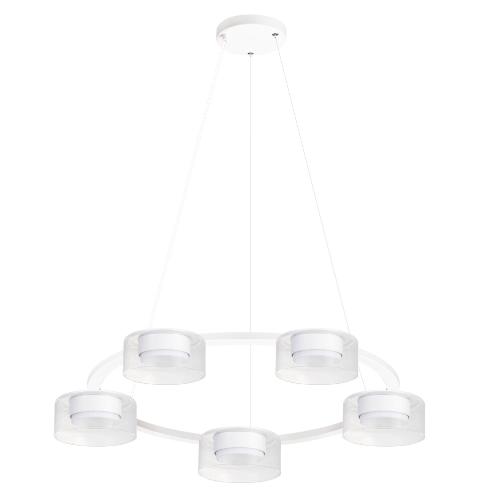 Подвесная люстра Arte Lamp Alius A8042SP-5WH