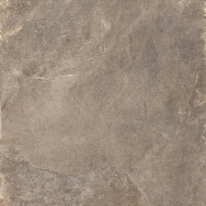 RONDINE ARDESIE Taupe