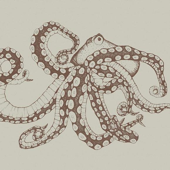Панно Coordonne 9500801N Octopus X-Ray Papirus