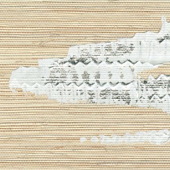 Обои Élitis RM 1075 01 Fragment de rêve Orion