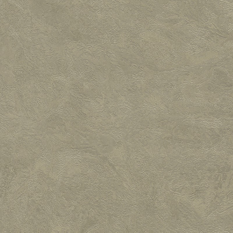 M50519