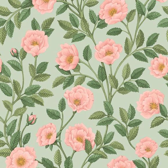 Обои Cole & Son 118/7014 Hampton Roses ose & Leaf Green on Duck Egg