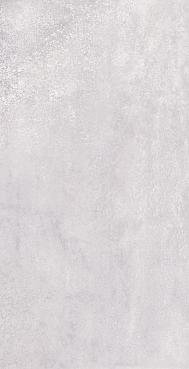 ПЛИТКА URBAN SILVER M 31X61 NR GLOSSY 1
