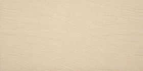 MAG. CHAMPAGNE 8M4C