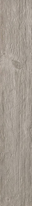 ATLAS CONCORDE AXI Silver Fir
