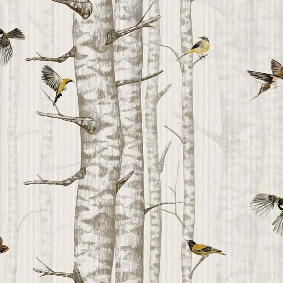 Обои Coordonne 9500041V Birch Trees Beige
