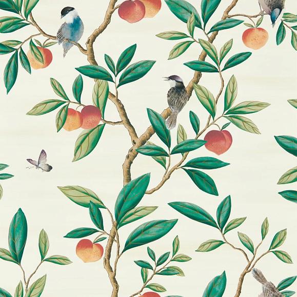 Обои Harlequin 112906 Ella Powder/ Sage / Peach