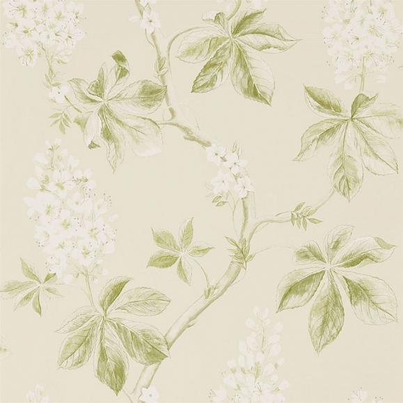 Обои Sanderson 215707 Chestnut Tree Lemon/Lettuce