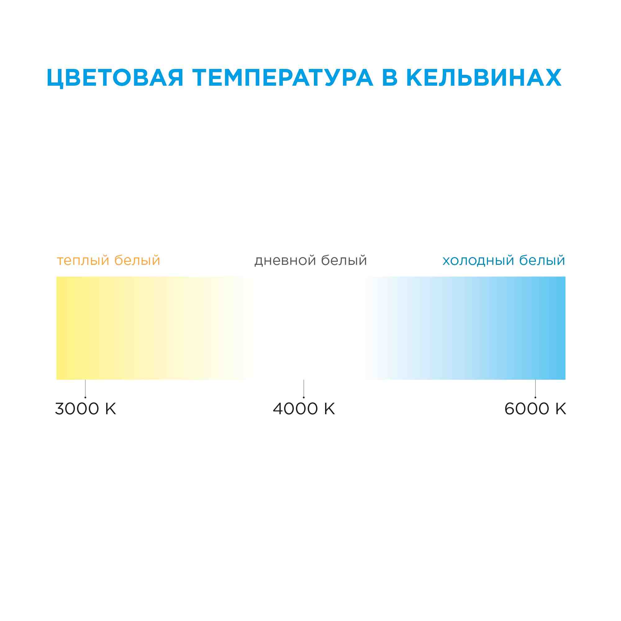 Комплект светодиодной ленты Apeyron 12В 48Вт/м smd 3528 60 д/м IP20 1м 3000К (блок, коннектор) 10-66