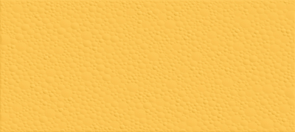Cosmos Amarillo