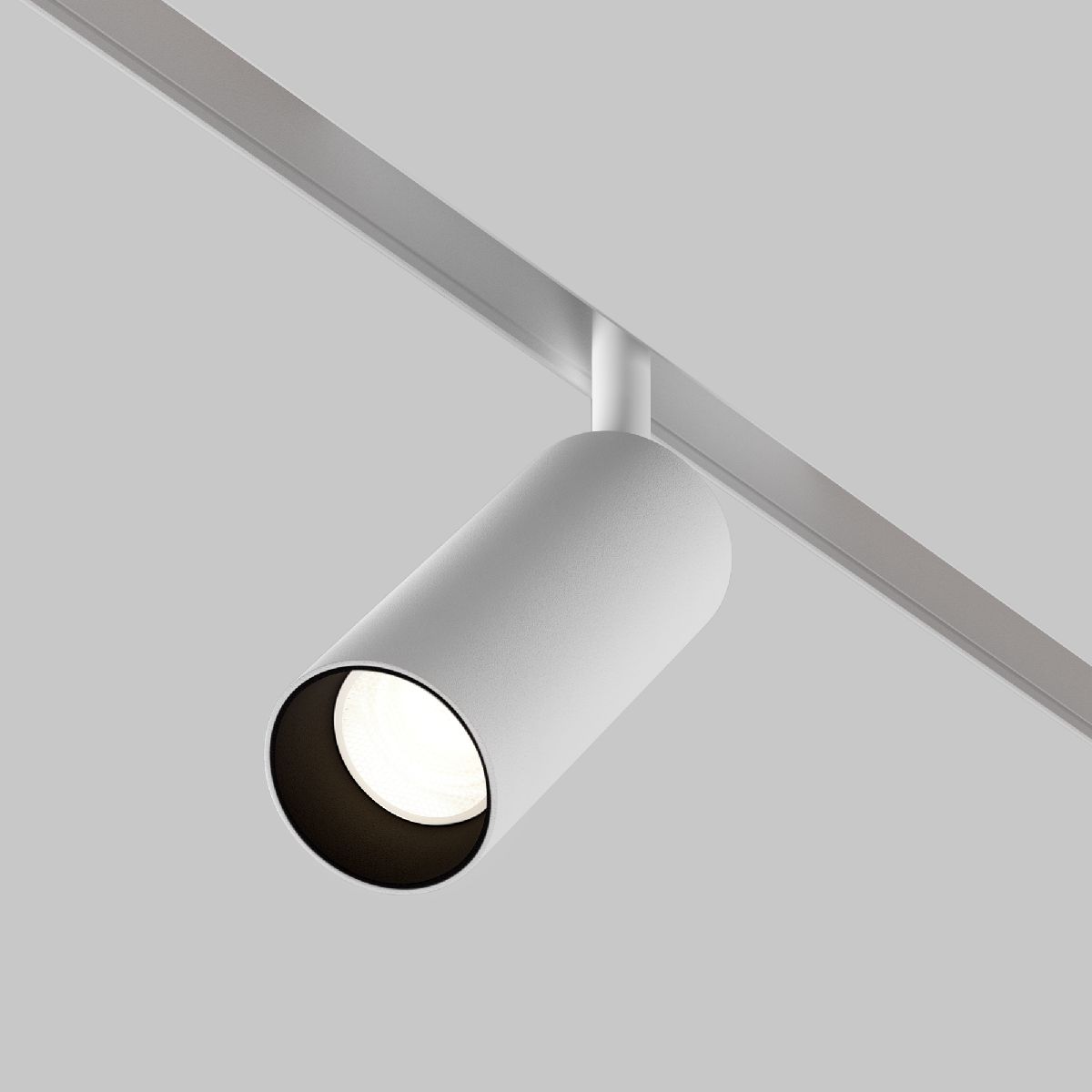 Трековый магнитный светильник Maytoni Focus LED TR032-2-12W4K-S-W