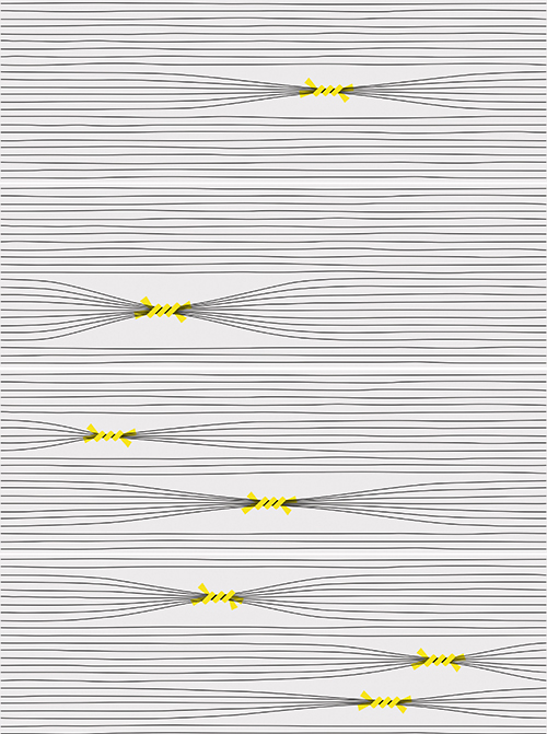 Otomi-4