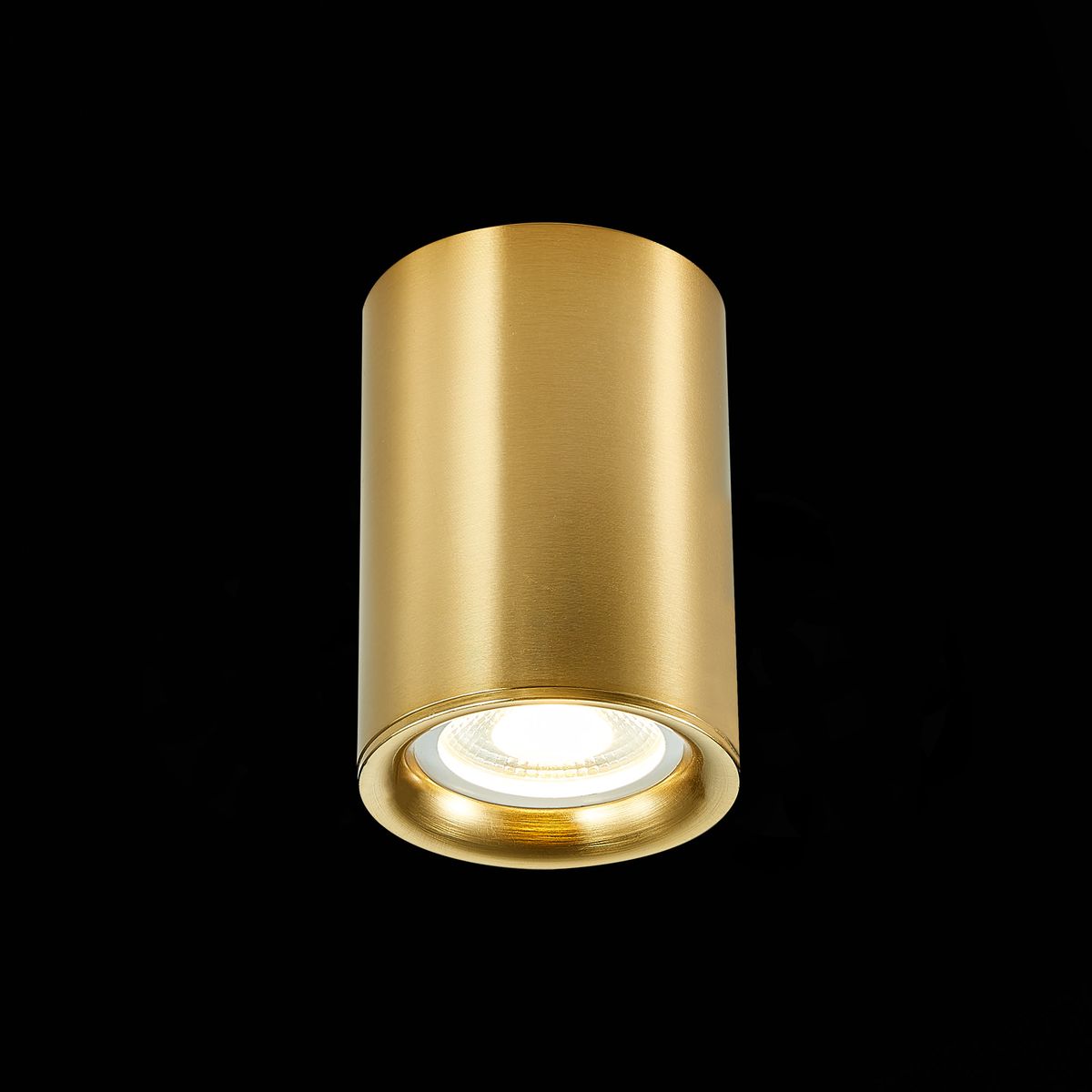 Накладной светильник ST Luce ST114 ST114.207.01