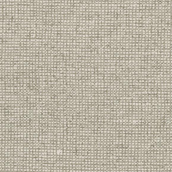 Обои Arte 91506C Chanderi Pebble