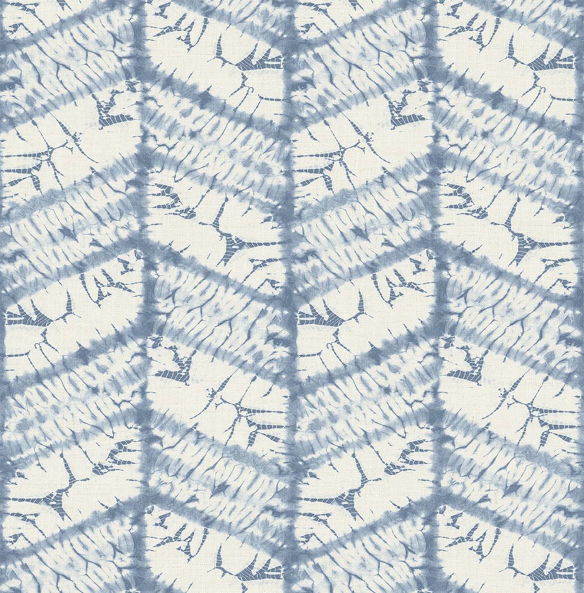 WBP12112