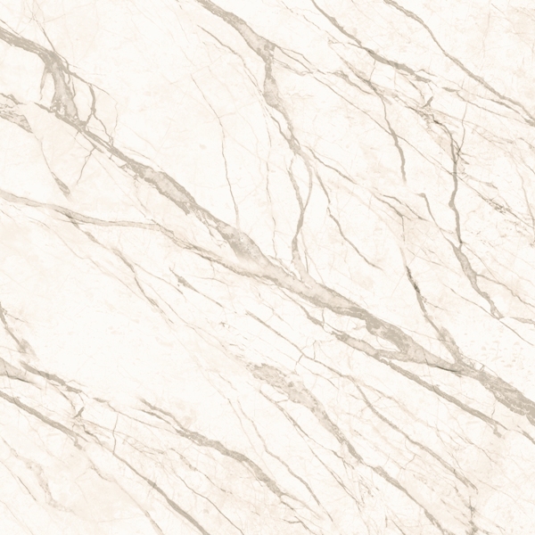 Prima 01 PR016060N