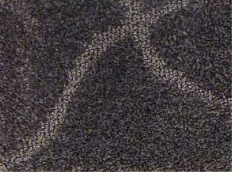 Ковровое покрытие Carlton 1  755