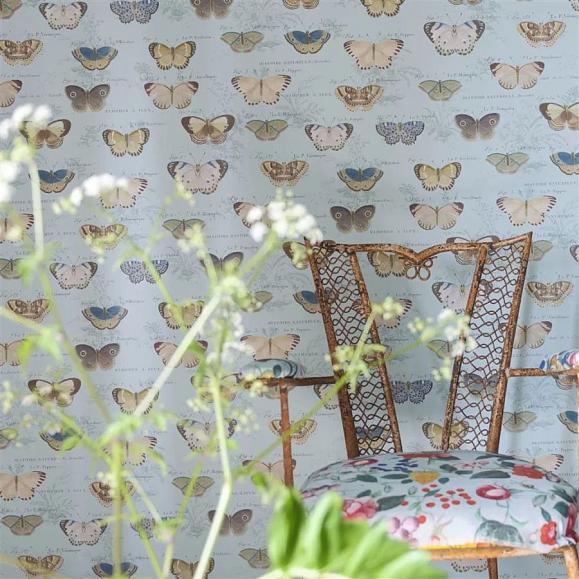 Обои John Derian PJD6017/02 Butterfly Studies Cloud Blue