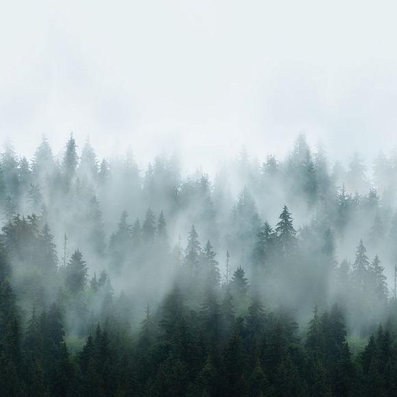 Панно Hygge Wall H10691 Foggy forest