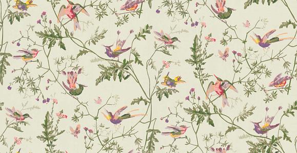 Обои Cole & Son 100/14070 Hummingbirds