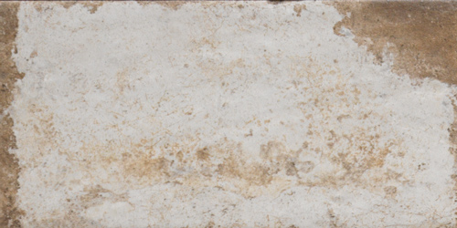 Havana Sugar Cane 20х40