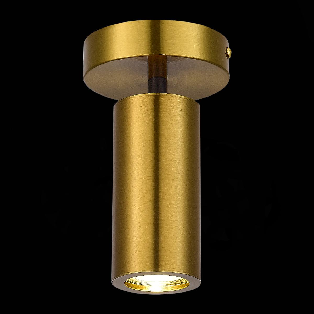 Потолочный светильник ST Luce Talia SL1215.402.01