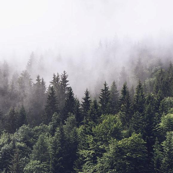 Панно Hygge Wall H10961 Into The Wild