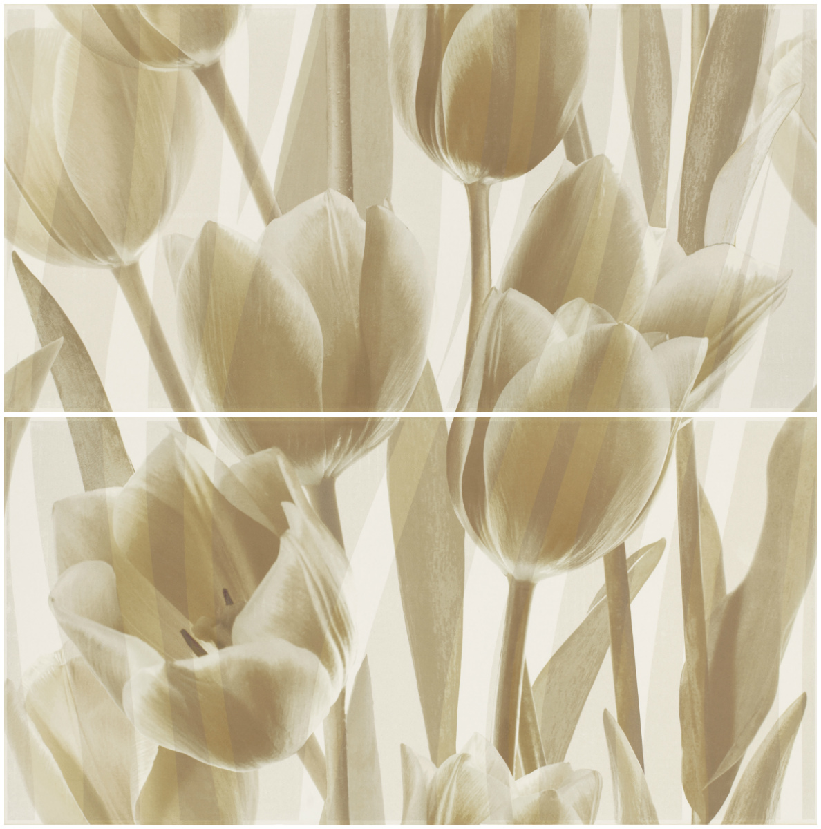 Панно Coraline Tulipany