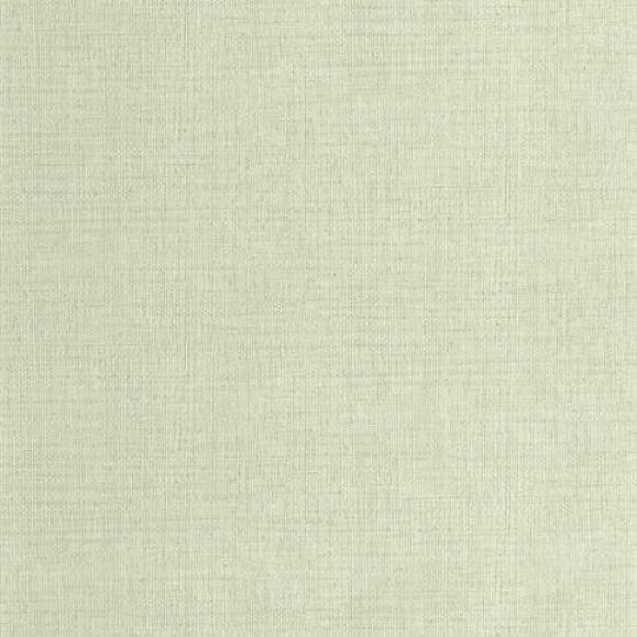 Обои Caselio 105977000 Raphia Vert d eau