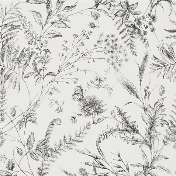 Обои Ralph Lauren PRL710/04 Fern Toile Etched Black