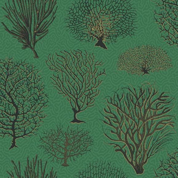Обои Cole & Son 107/2007 Seafern