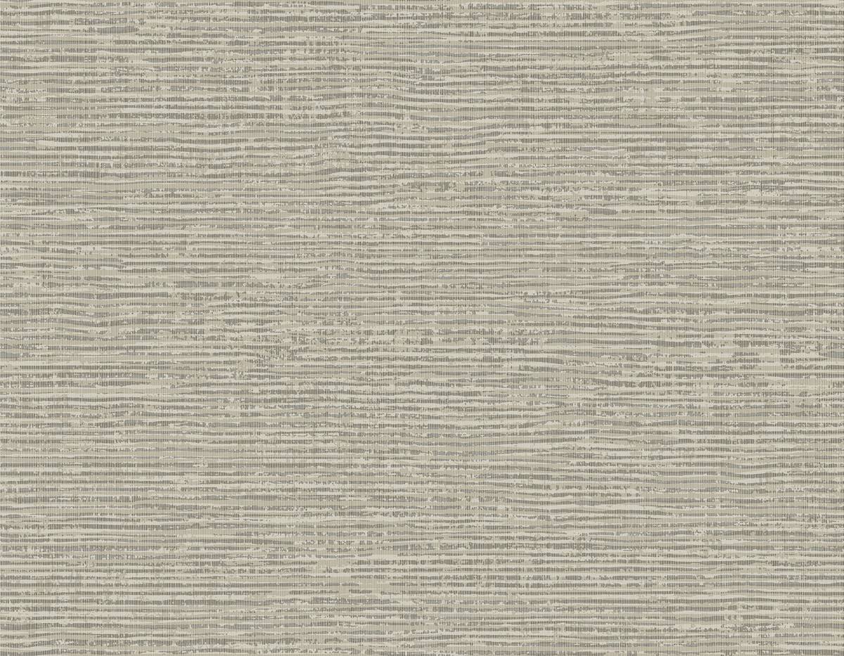 BW60408