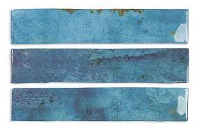 DNA ENAMEL Ocean