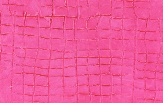 ivoire-+-cire-fuchsia-rouleau-croco-petites-ecailles