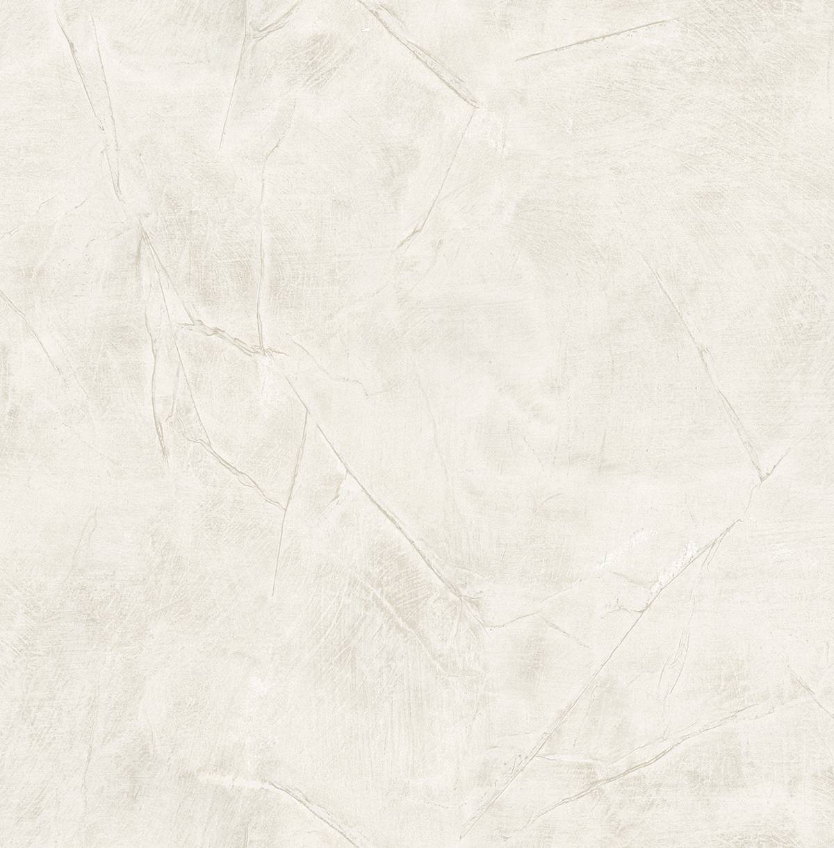 CE21110
