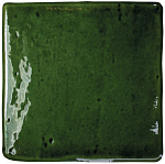 ROOTS Olive S Gloss