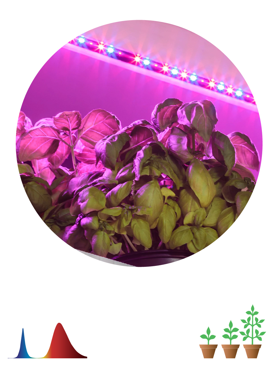 Светодиодная лента для растений Эра 18Вт 1400K 2м IP65 FITO-Strip Light-RB-2m красно-синего спектра Б0057282